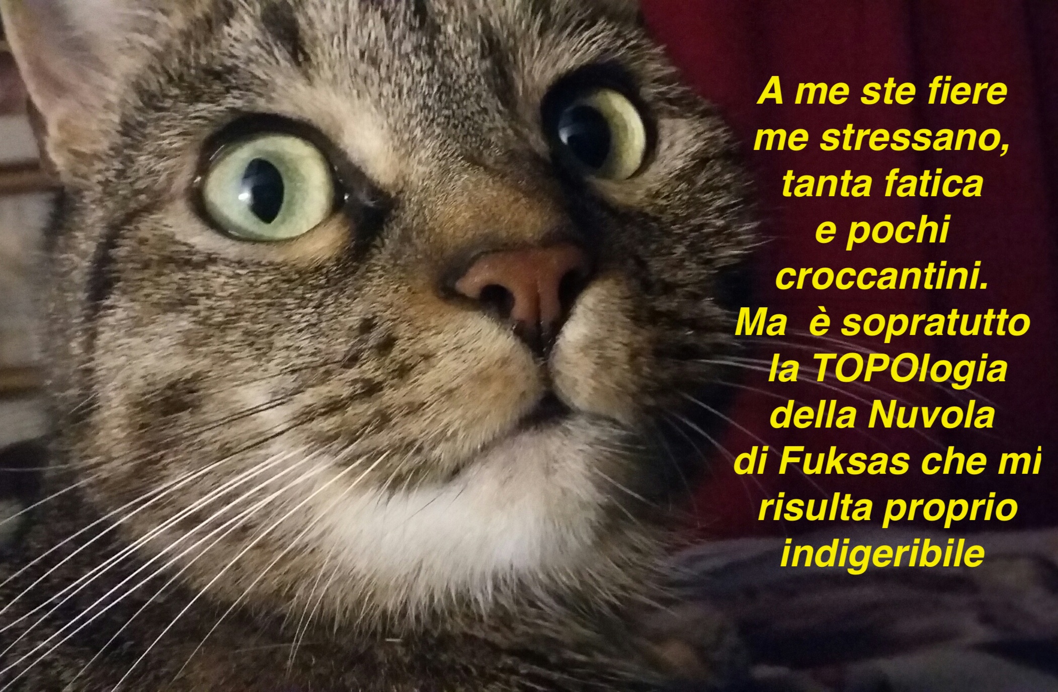 1108 Alla fine della fiera