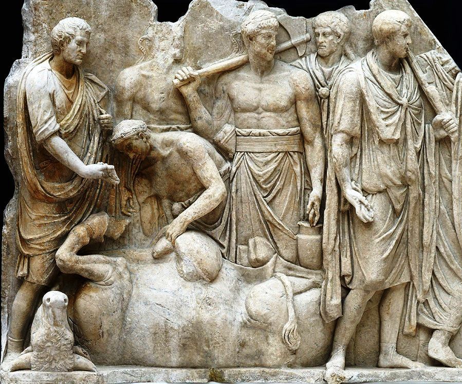 La litatio: il ventre dell’animale sacrificato viene aperto per osservare la congruità delle viscere (lastra del Tempio di Giove Capitolino, ora al Louvre).