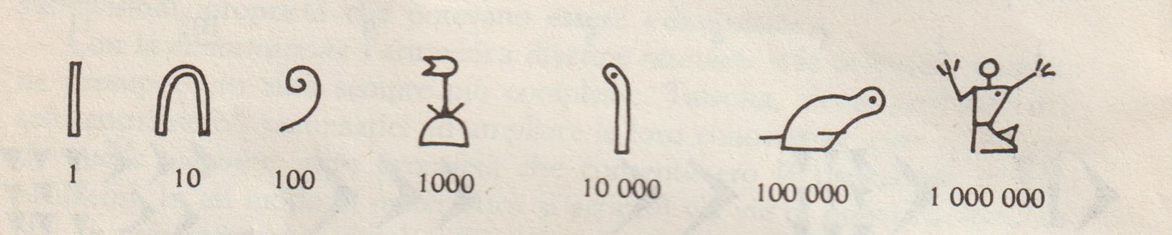 1301 MaracchiaImmagine3