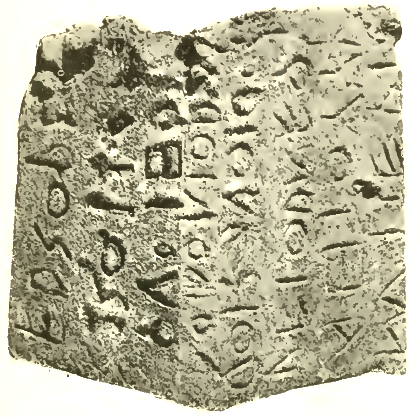 1333 9 Cippo del Lapis Niger copertina