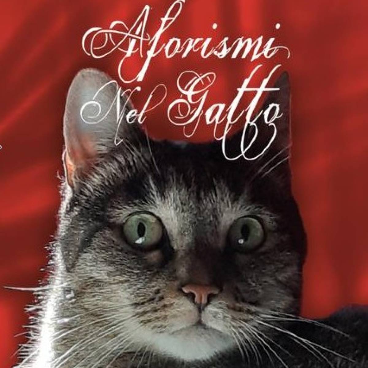 Invito alla lettura di 
