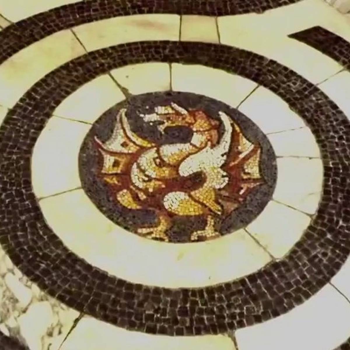 31/01/2026 - Basilica di S. Crisogono: antropometria, ritmo e geometria sacra - visita guidata